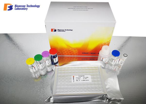 Insulin / INS Human Sandwich Elisa Kit Under 2 - 8°C Storage Condition