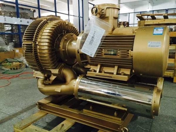 30kw Explosion Proof Vacuum Pump Blower With Nanyang Frequency Changed Atex Motor