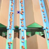 Classification de la taille 2,0 tonnes par heure Machine de tri des dattes de palme à 8 voies