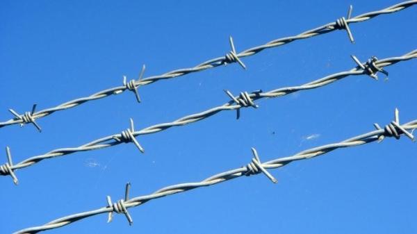 Silver Electric Galvanized Security Barbed Wire Low Carbon Steel BWG 12 14 16