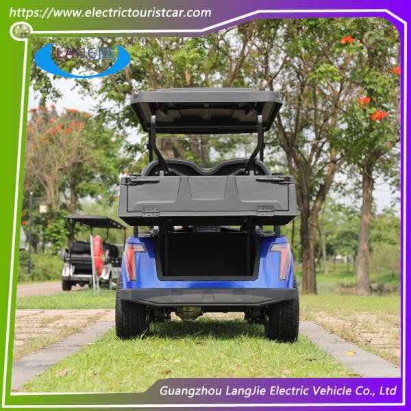 Veículo utilitário de carro elétrico de 2 lugares com bateria de ácido de manutenção gratuita Logotipo personalizado