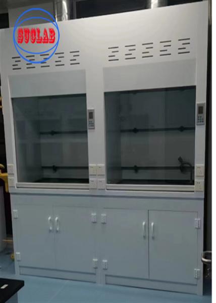 220V Chemical Fume Hood Lab Acid Fume Hood Wall Mounted with Horizontal Structure