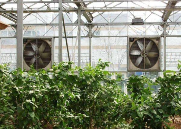 1400RPM Greenhouse Cooling System 220V / 380V Galvanized Sheet Contour Frame