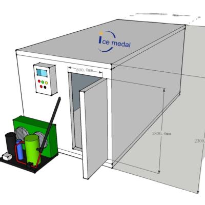 Icemedal Blast Walk In Freezer Room For Fish Meat Vegetable 220v/60hz/3ph