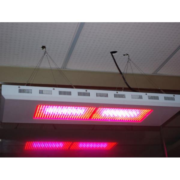 15W Grow Lights For Indoor Plants Waterproof IP65 Aluminum Lamp body