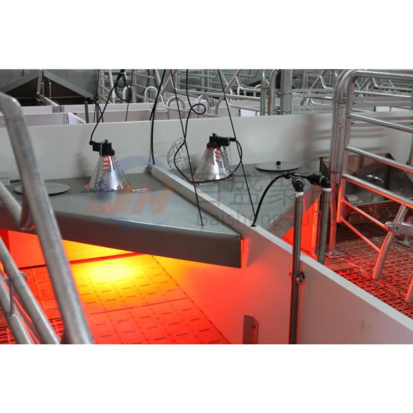 Сталелитейная ферма покупает оборудование для птицеводческой фермы в Индии