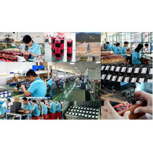 Hefei Purple Horn E-Commerce Co., Ltd.