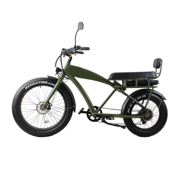20 Inch 500w Electric Bike 8 Speed Fat Tyre Adult E Bicycle with 2 Seats and Foot Rest