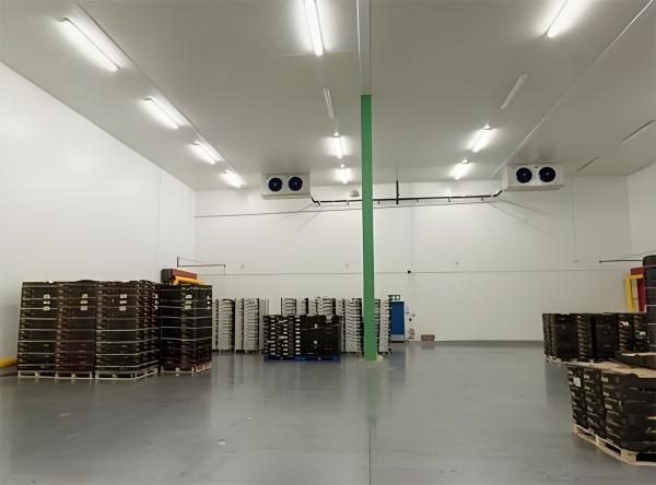 Customized Fruit Cold Storage Room Manufacturers With 50mm-250mm Core