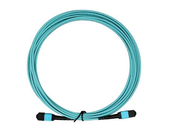 MPO Female - MPO Female 24C Premium Quality Fiber Optic Patch Cord for Data Center