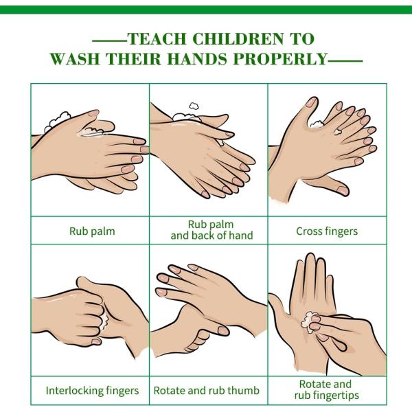 OEM ODM Daily Antiseptic Hand Sanitizer With 75% Alcohol 250ML