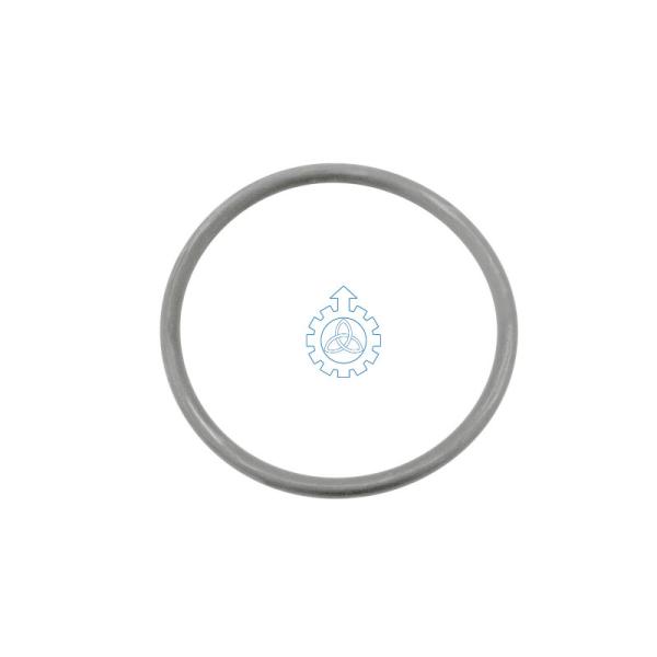  o-ring 5003065115