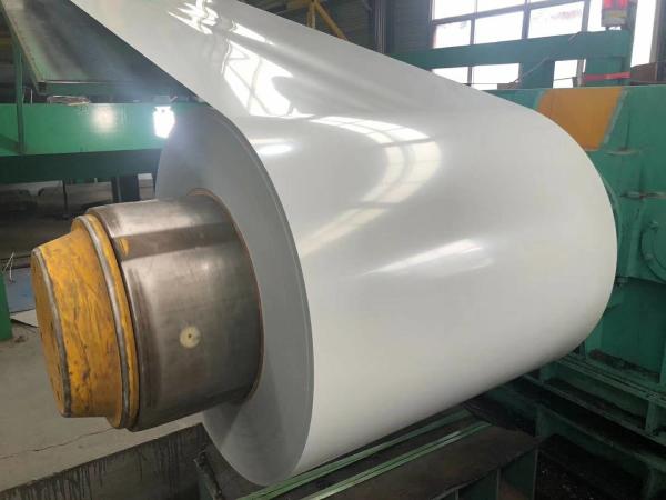 H24 SGS Colour Coated Steel Coils