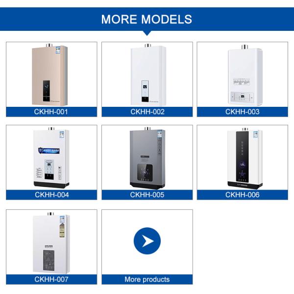 Natural LP Gas Tankless Water Heater Hot Water Boiler 16000W 10L-16L