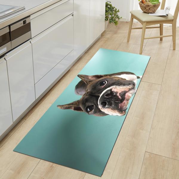 Absorbant mignon animal de l'eau de Mats Home Entry Door Mat de plancher de cuisine de chien