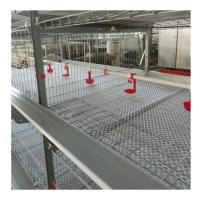 Cage de poulet à chaud galvanisée automatique de type H