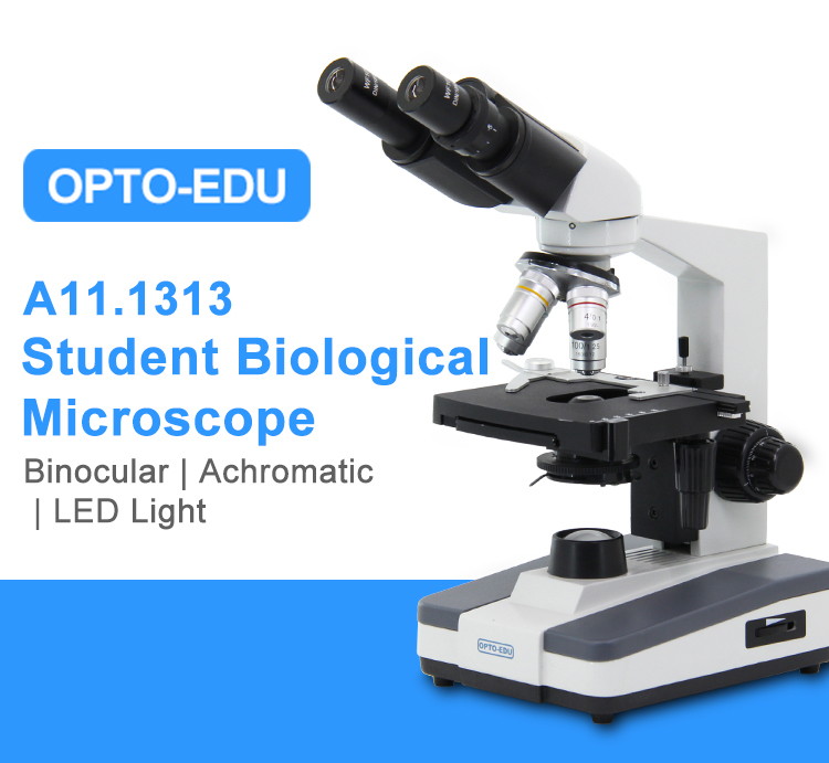 Halogen Light Student 1000x WF10X Biological Compound Microscope