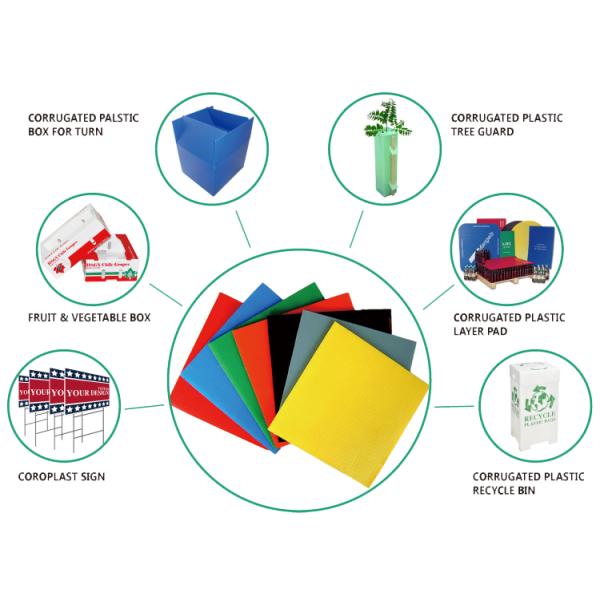 Коробка сота ящиков для хранения Корфлейт брокколи рифленая для плодов
