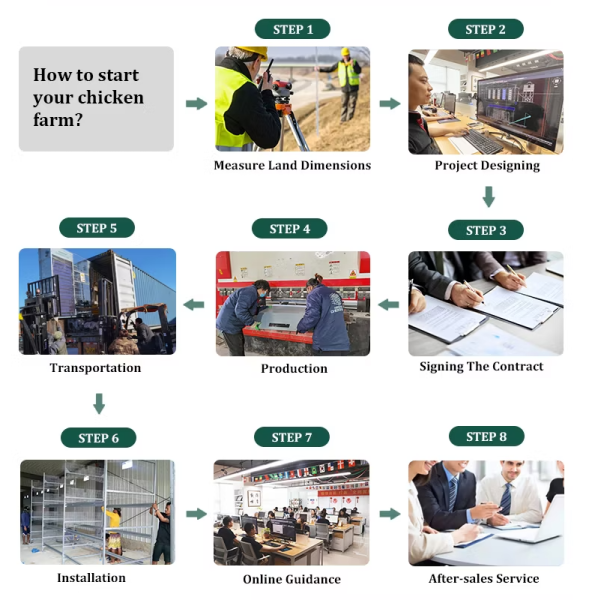 Hot-Dip Galvanized Steel Automatic Chicken Cage with 15-20 Year Lifespan and Automated Feeding System