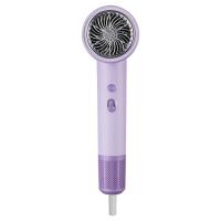 New Design NTC Intelligent Temperature Control Negative Ion Revair Hair Dryer