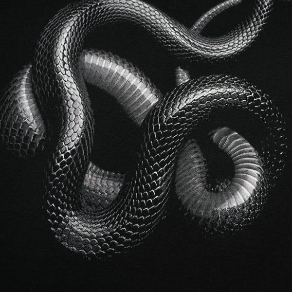 Gender-Neutral 3D Printed Snake Loose T-shirt for Street Fashion in Various Sizes