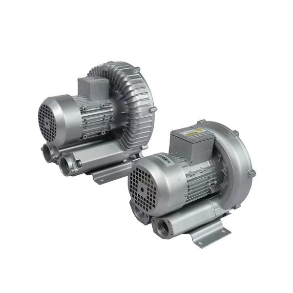 Fabrique en gros 0.2KW souffleur de canal latéral à étage unique pompe à air élevage de poissons