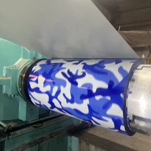 Color Coated Steel Coil