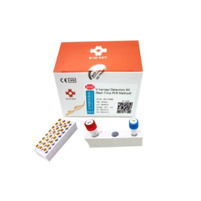 PCR de Kit Nucleic Acid Real Time do teste da cultura aquática de Harveyi do Vibrio das amostras de água