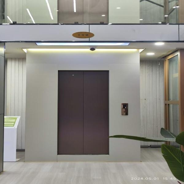 Ascenseur domestique panoramique sans fosse | Cadre en aluminium léger