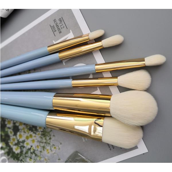 Skin Like Face 6pcs Light Blue Beauty Brushes Set For Makeup