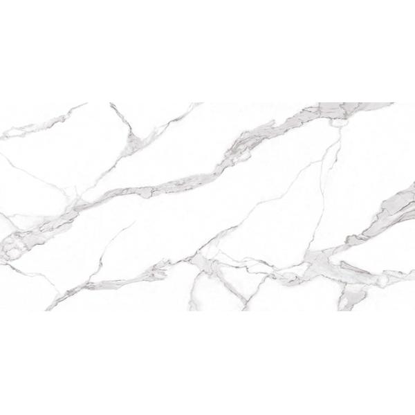 Плитка фарфора взгляда цемента плиты 2400*1200mm офисного здания большая