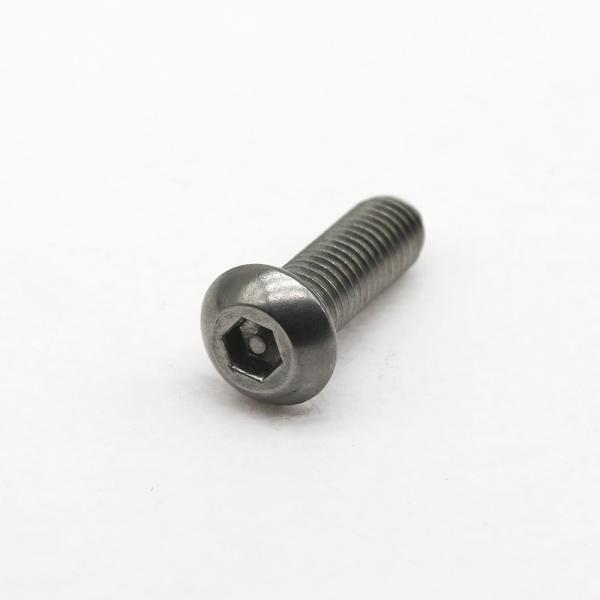 Industrial Custom Anti Theft Screw Stainless Steel Safety Fasteners