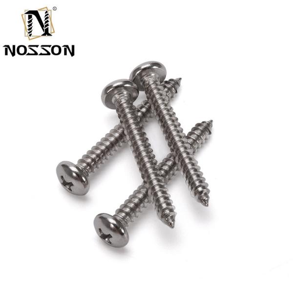 Metric Stainless Steel 304 Pan Head Tapping Screw Sheet Metal Screw with Cheese Head and Chrome Plated Finish Din 7981