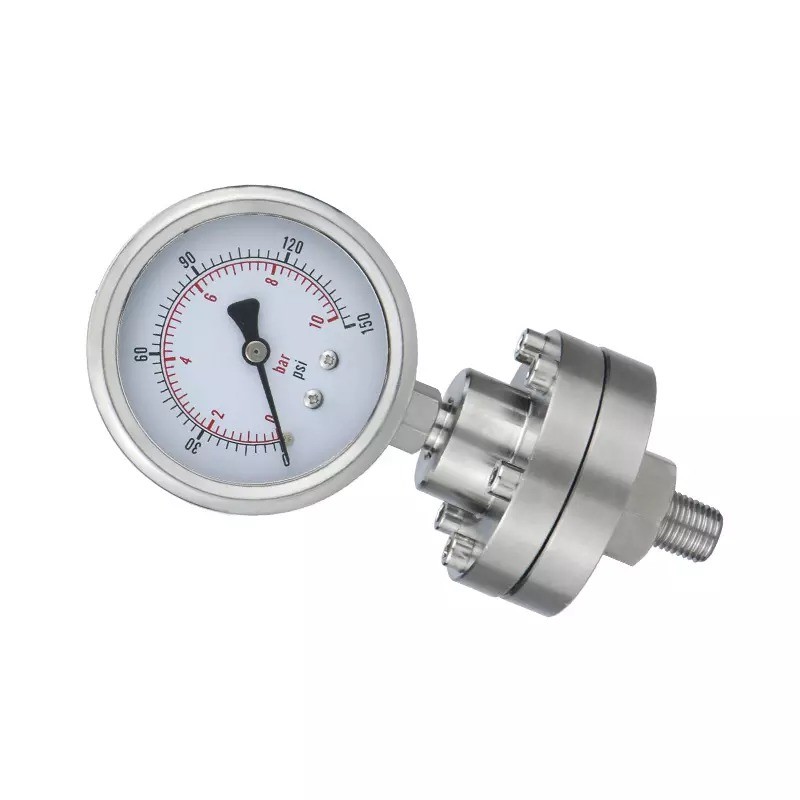 Zhejiang Made 2.5 Precision 60mm Stainless Steel Diaphragm Pressure Gauges with Long