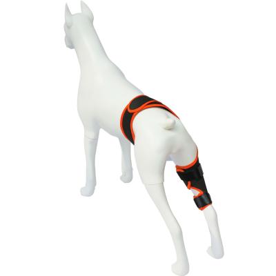 Dog Knee Brace