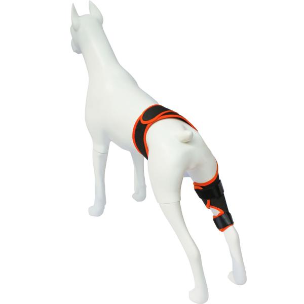 Dog Knee Brace