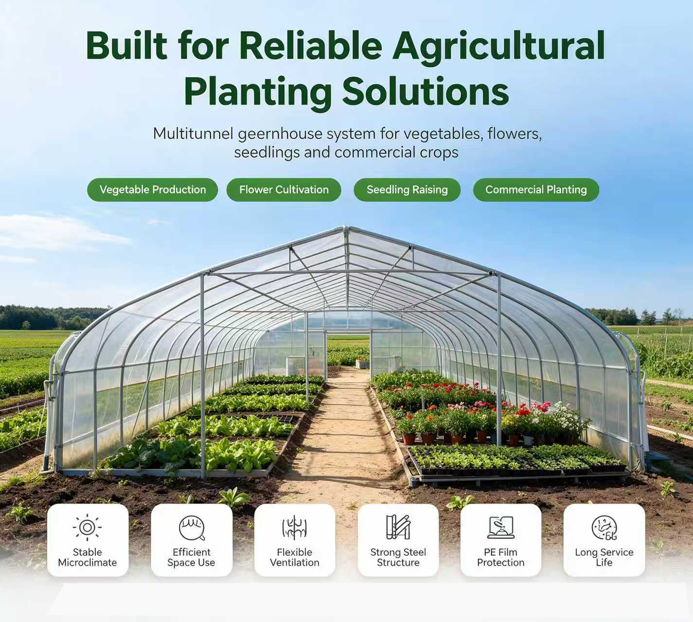 Durable Multitunnel greenhouse with galvanized steel frame and PE film covering ideal for agricultural planting solutions