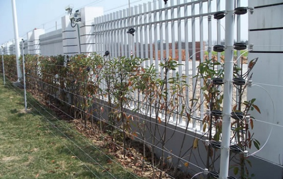 ETIQUETAS cilíndricas da bateria 22430 2000MAH 3.7V do íon do lítio para a produção de Digitas