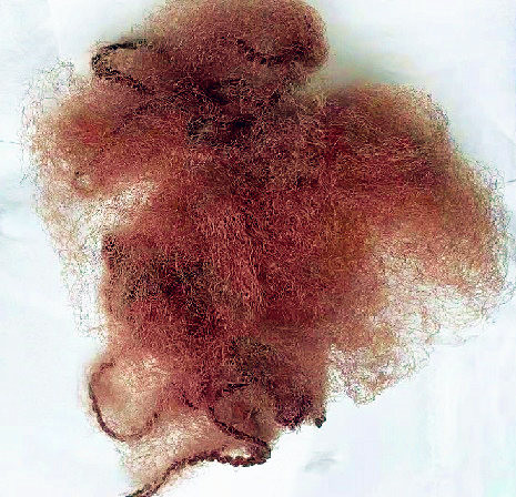 Brown Nylon Invisible Hairnets 14 Disposable Hair Nets Mesh