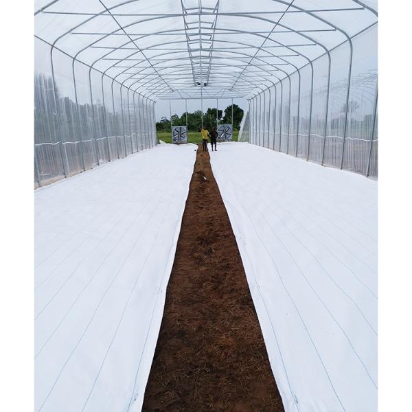 200micron PE Film Ventilation System Greenhouse High Security Weather Proof