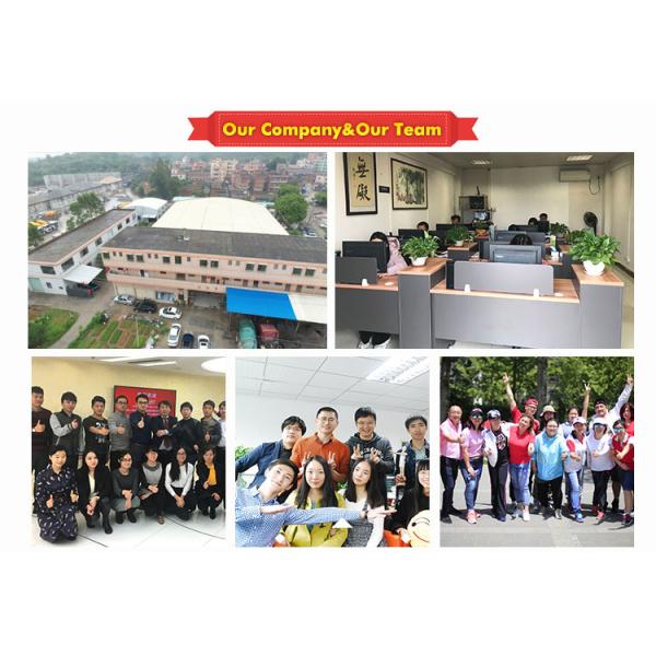 OEM Zig Zag Мебельные пружины Стальные обивки Диванные пружины