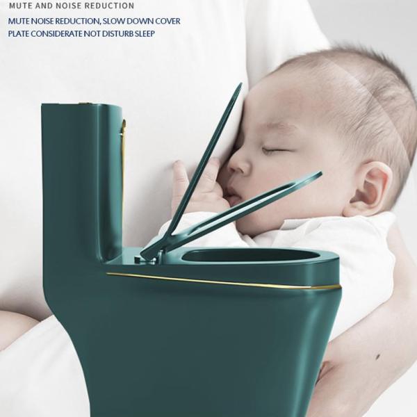 санитарный туалет изделий 6L