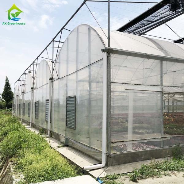 Estufa de aço galvanizada quente do filme plástico para agrícola