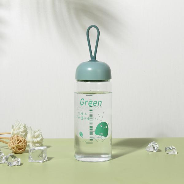 Clear Single Wall Transparent Glass Drinking Water Bottles Portable