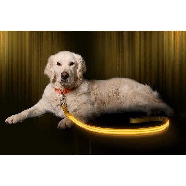 Safe Highly Visable LED Dog Leash Nylon Material