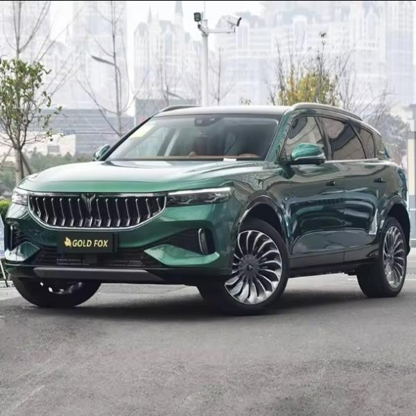 Auto Voyah 2024 Electric SUV Hybrid Speed Energy Closed Body Type Commercial Vehicles