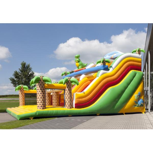 5-10 Passenger Inflatable Water Slide Pool Rental with Rainbow Pool and Slide Package