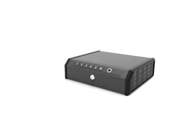 Anti-theft Function Safe Box for 2 Hand Guns Biometric Fingerprint and Electronic Lock