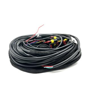 56 cablagens multipontos da conexão da injeção do chicote de fios CNG LPG do fio