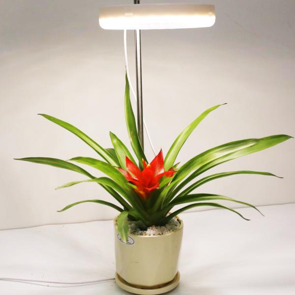 12W USB Ground Plug Light for Plants Growth Professional Manufacturers Suppliers